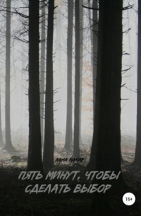 Пять минут, чтобы сделать выбор