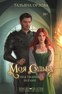 Моя судьба под твоими ногами