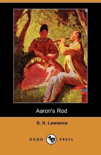 Aaron's Rod
