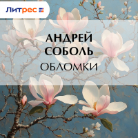 Андрей Соболь - Обломки